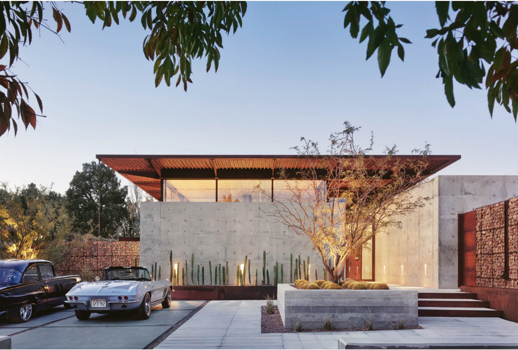The Douglas Schwartz House by David Lake